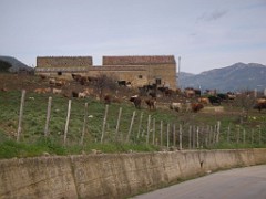 25.02.07 Castel di Lucio 047